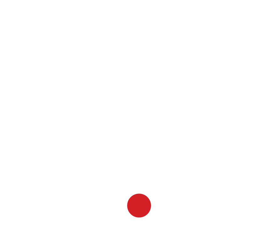 Mobile icon white
